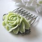 Nile Green Rose Flower Anti..