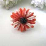 Orange And White Daisy Adj..