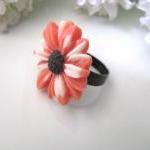 Orange And White Daisy Adju..