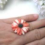 Orange And White Daisy Adju..